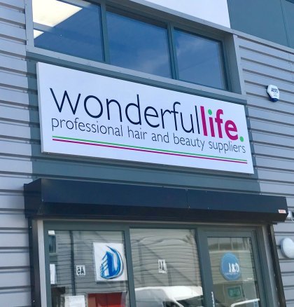Wonderful life 2
