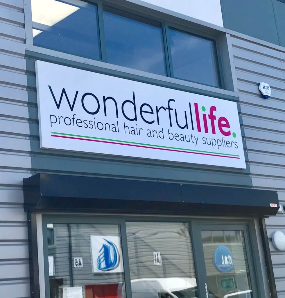 Wonderful life 2